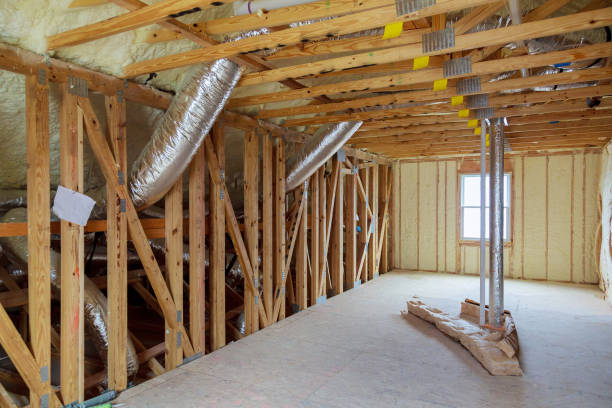 Best Spray Foam Insulation  in Portales, NM