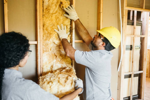 Best Cellulose Insulation  in Portales, NM