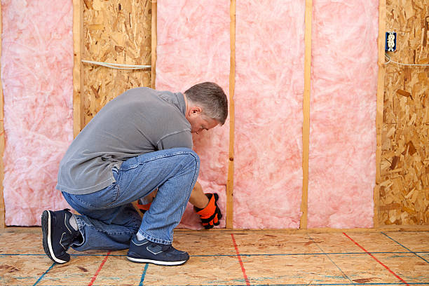 Best Attic Insulation Installation  in Portales, NM